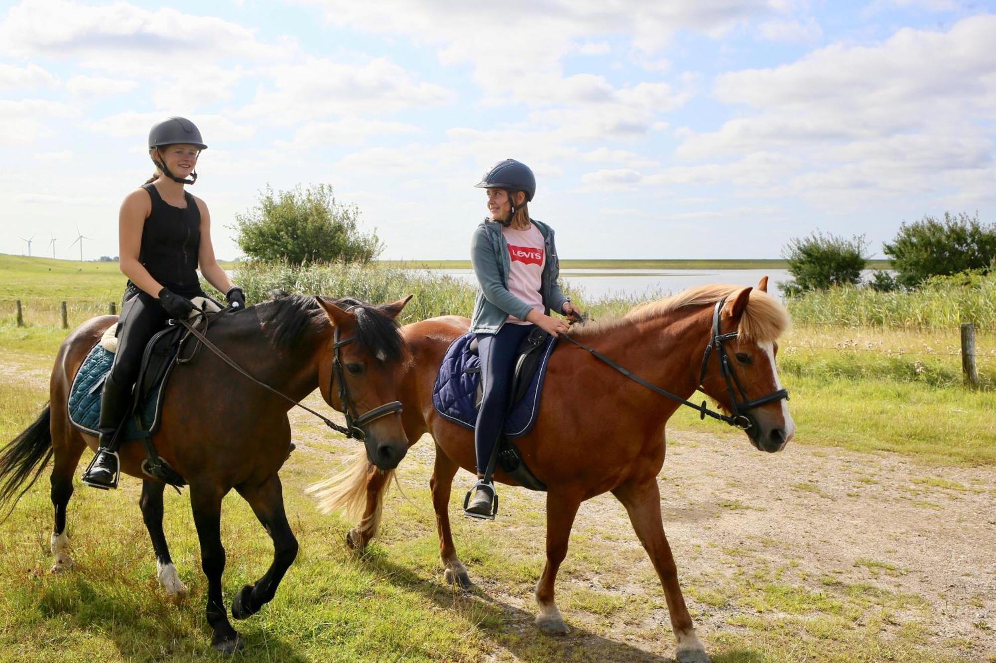 Nordsee Bauernhof Familie Wulff Fewo "Suedfall" Reussenkoge ภายนอก รูปภาพ